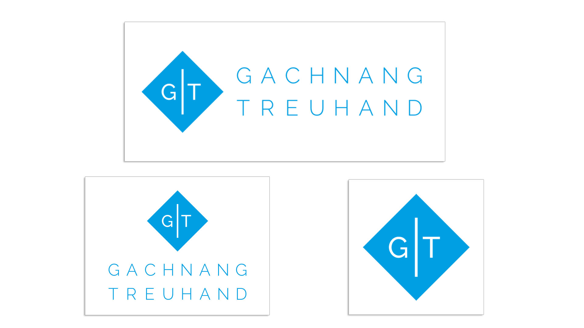 Logo_Gachnang Treuhand